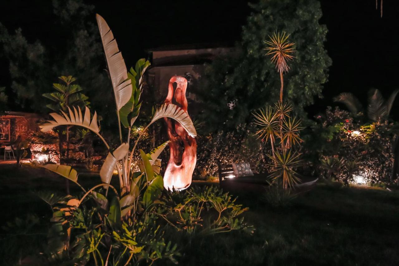 ホテル ムラト パシャ コナギ ダルヤン エクステリア 写真